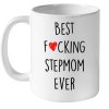 Best Fucking StepMom Ever Mothers Day Gift Idea Step Mom White Coffee Mug
