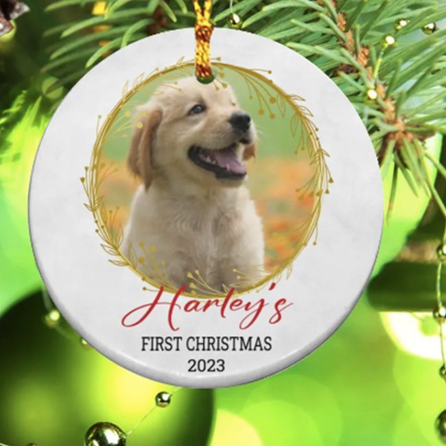 Personalized Custom Name Photo Love Dog First Christmas Gift Ornament